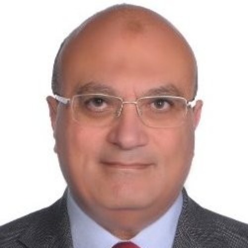 Maged Mohamed Abdel Hamid