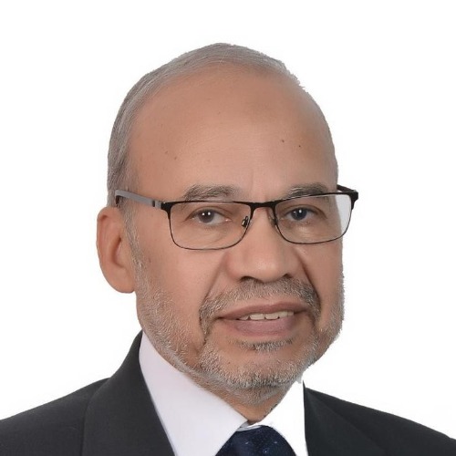 Samir Abdelmoaty