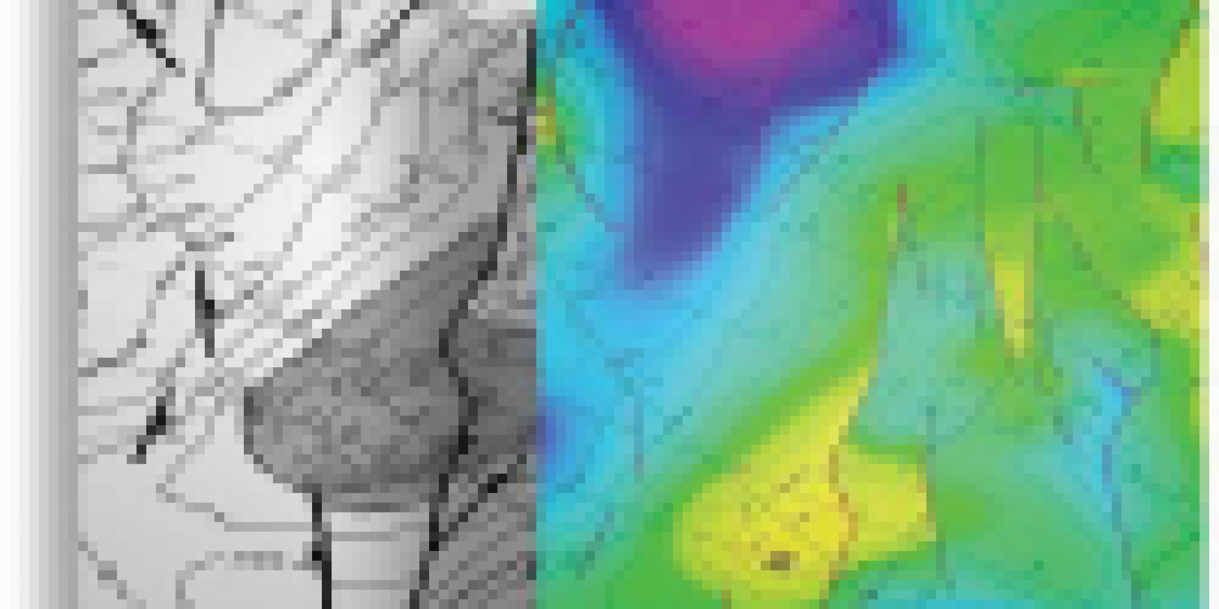 Digital Maps and Interpretation Data