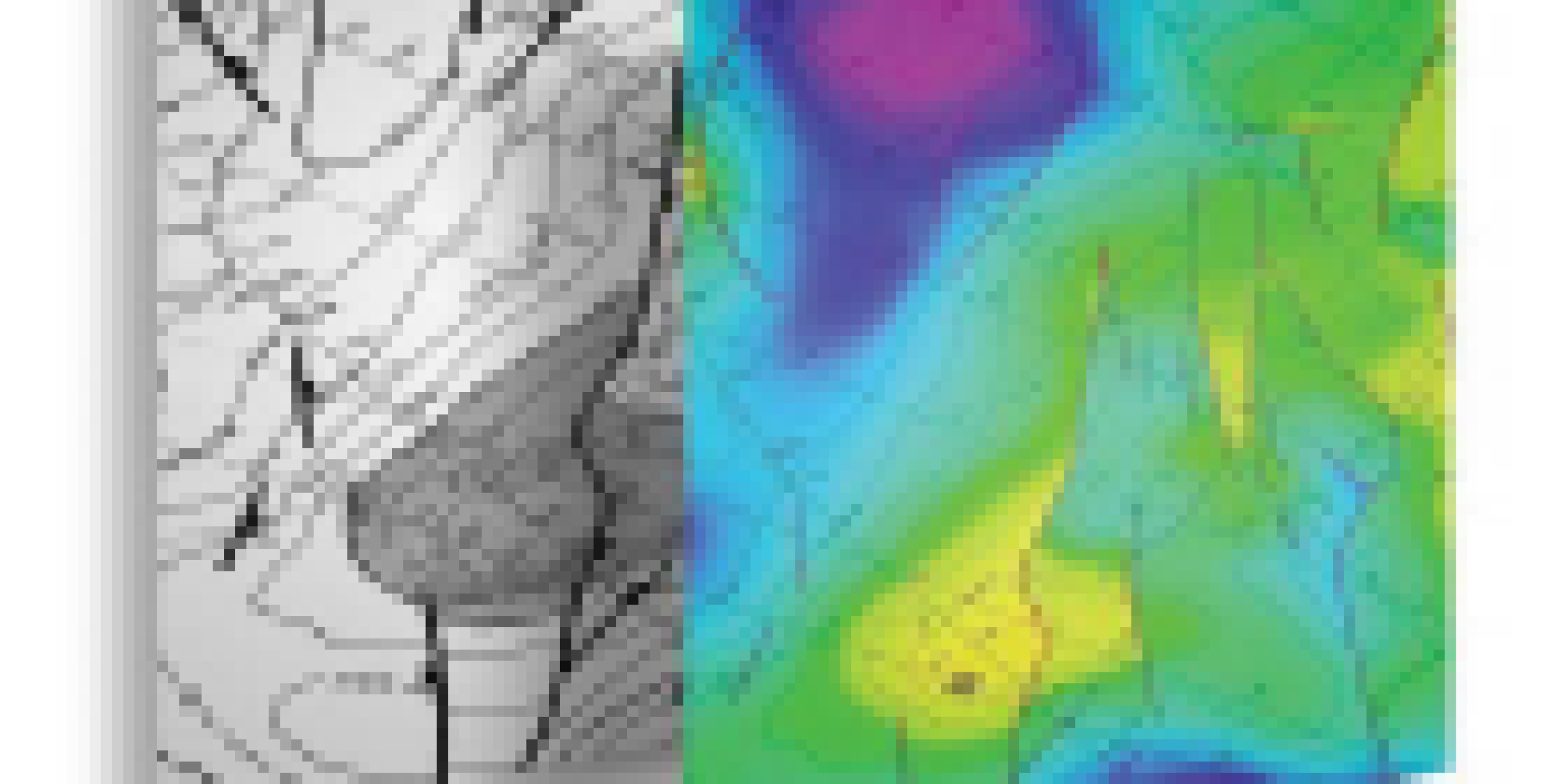 Dynamic visualization
