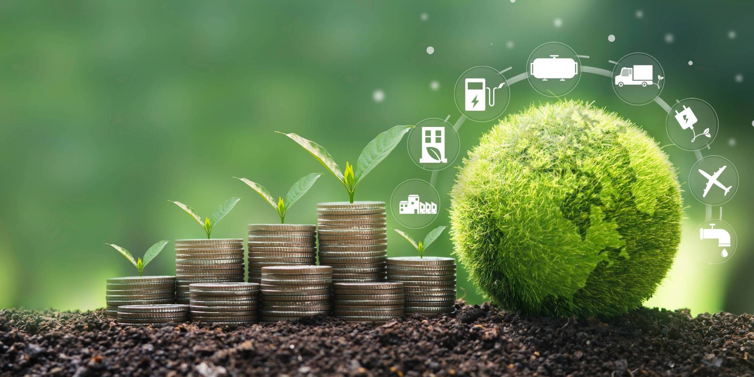 Sustainability Reporting and Certification