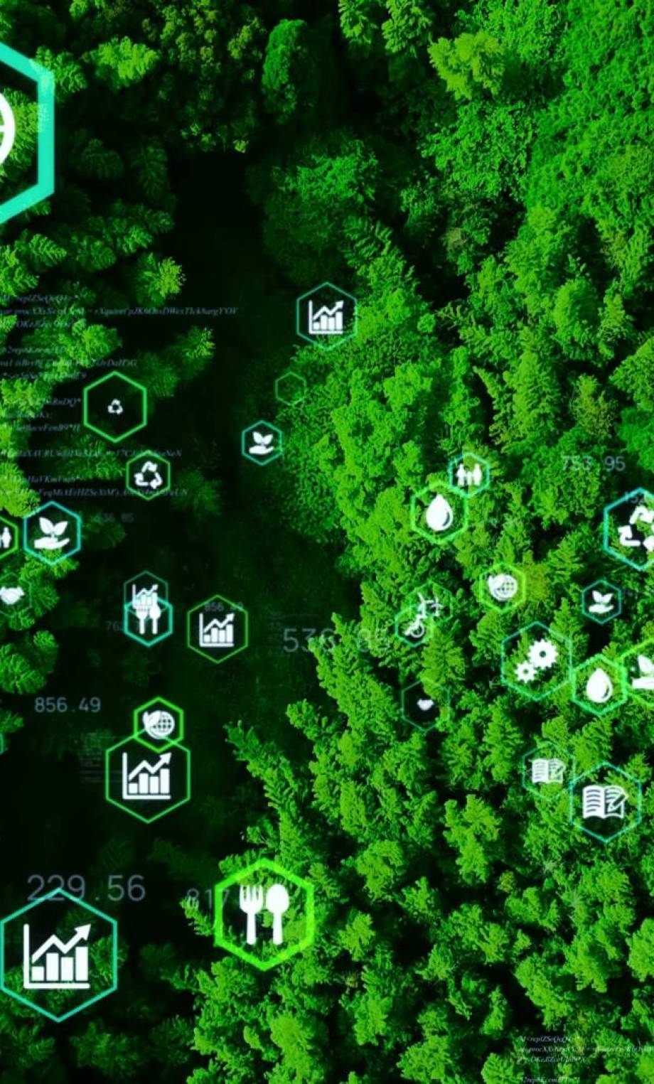 Green Hydrogen