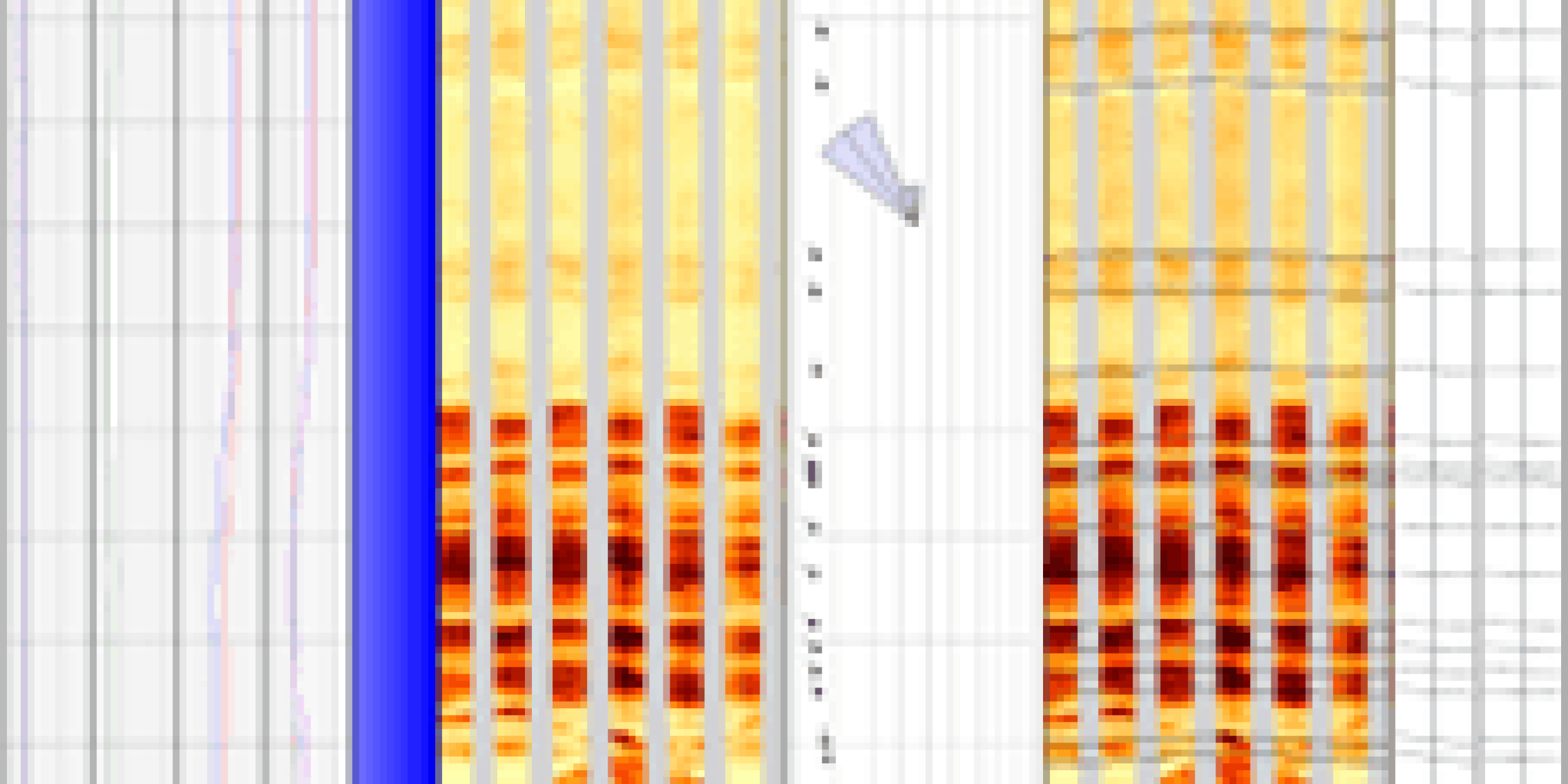 Borehole Image Analysis