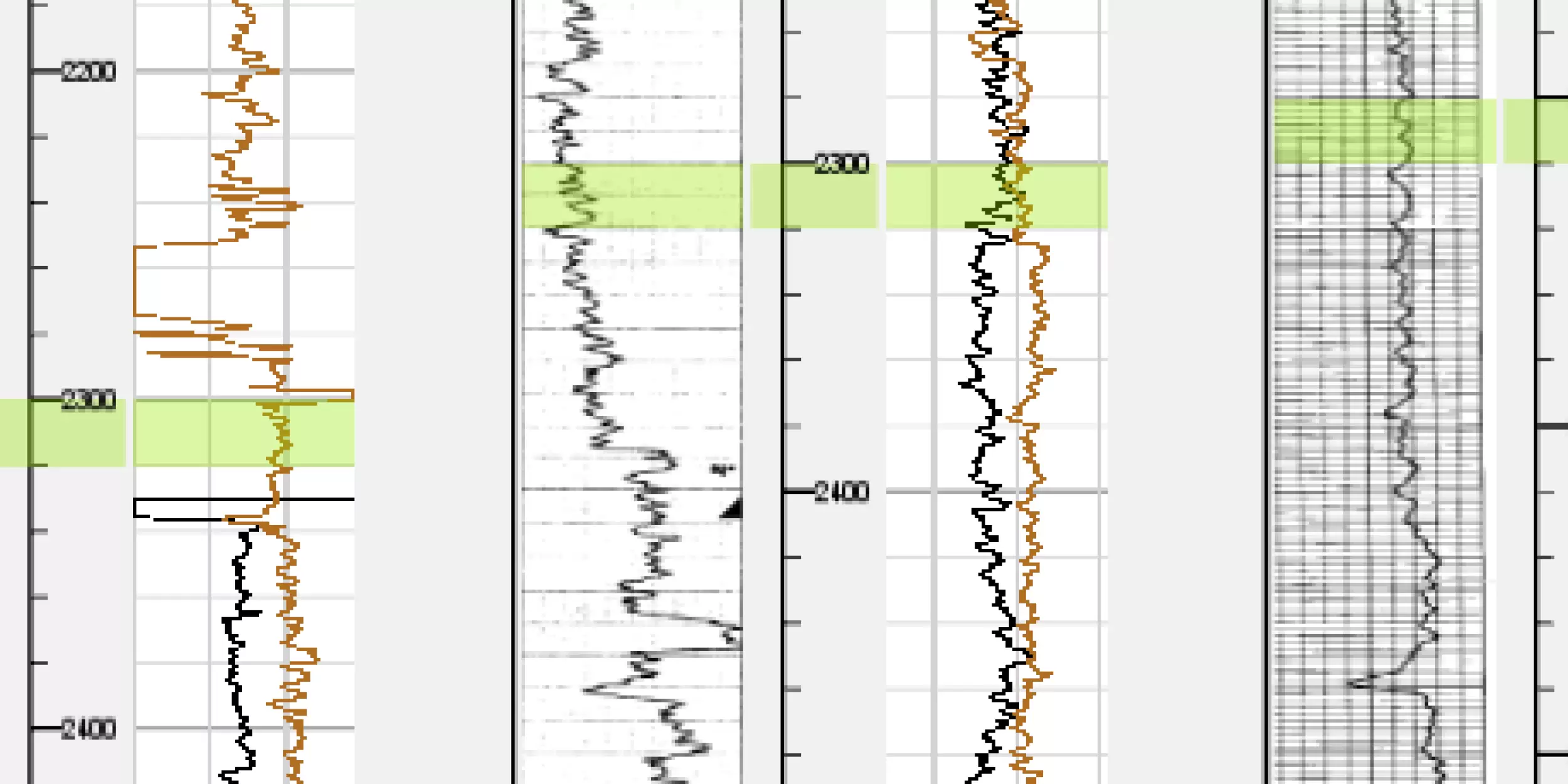Raster Logs