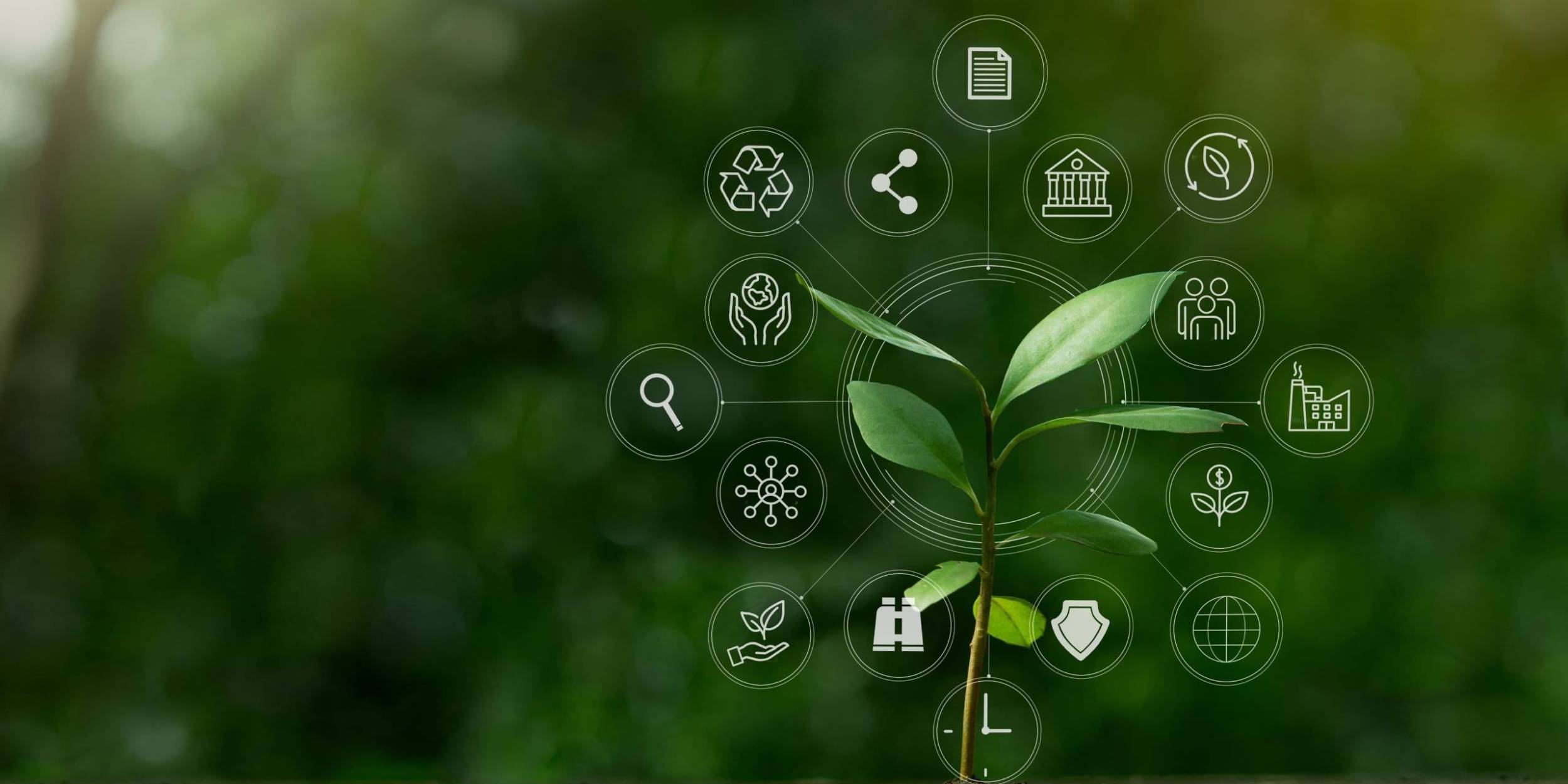 Sustainability Reporting and Certification Support